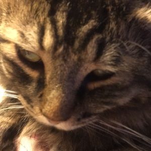 Meet your Posher, Jen